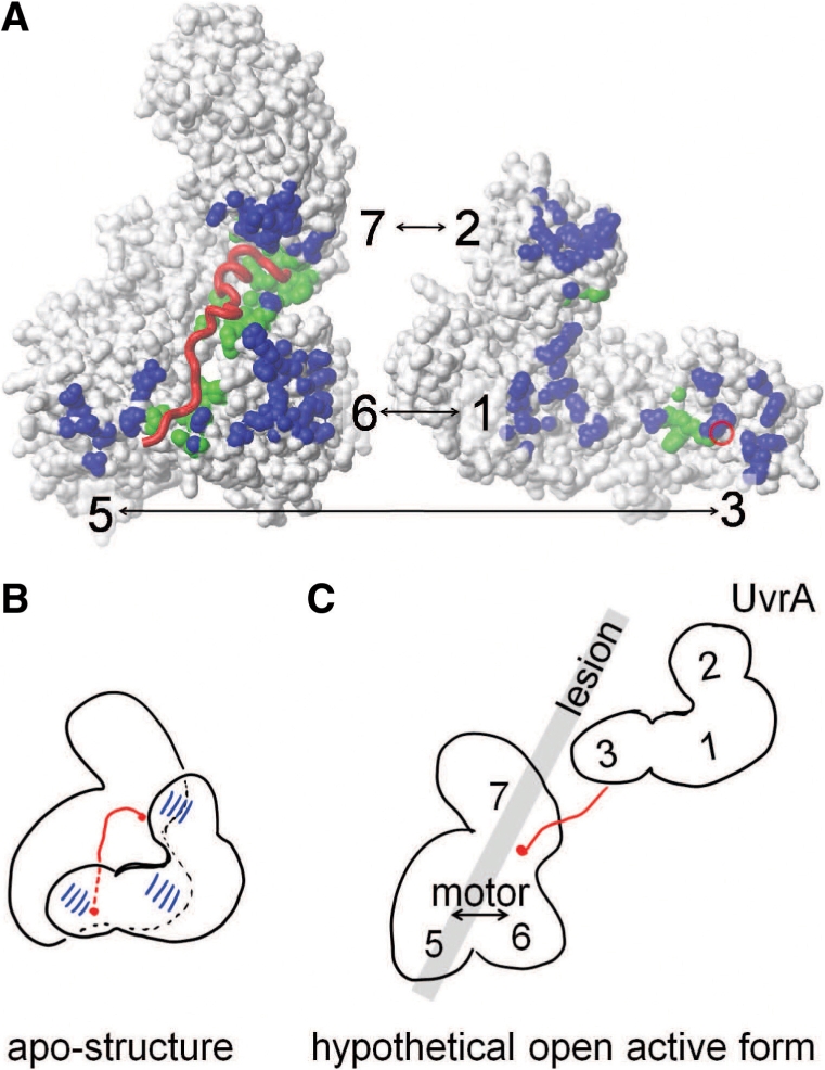 Figure 7.