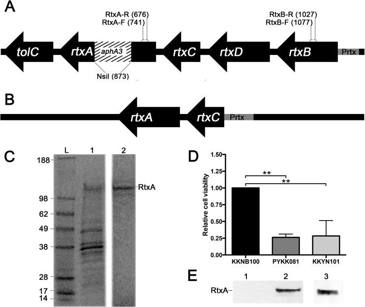 FIG 1