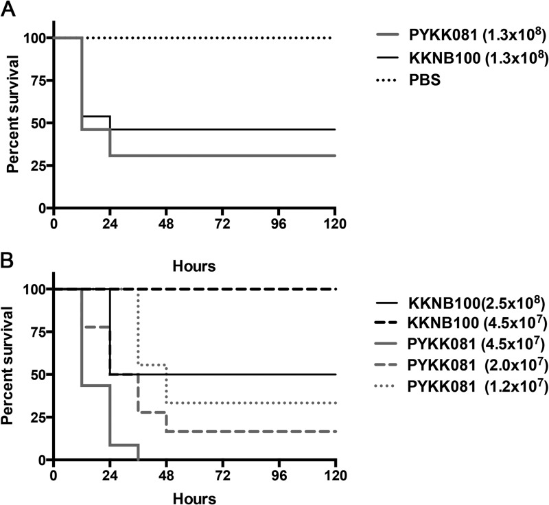 FIG 3