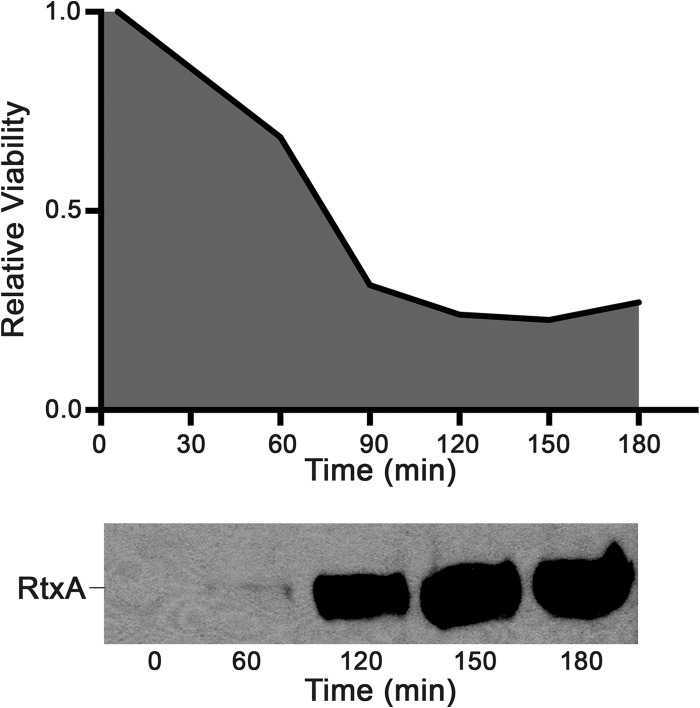 FIG 2