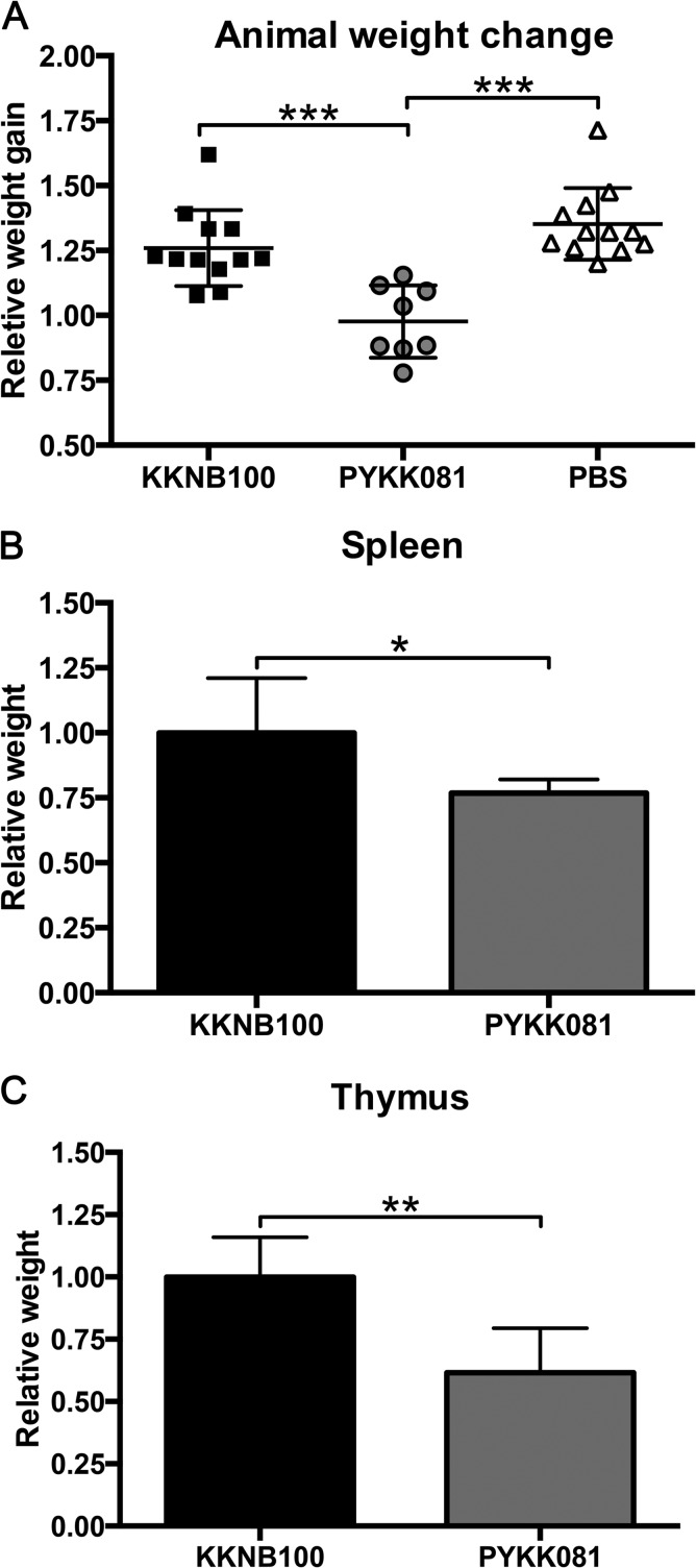 FIG 5