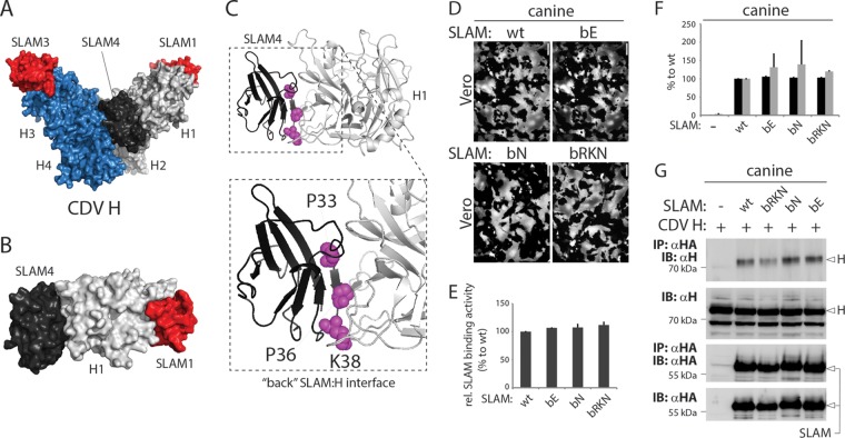 FIG 7