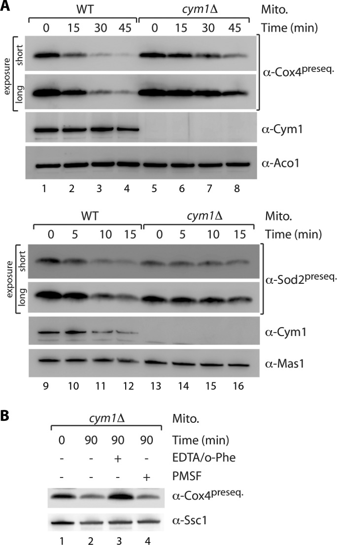 FIGURE 1: