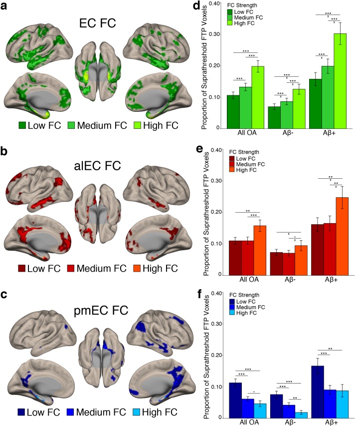 Figure 3—figure supplement 1.