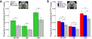 Figure 2—figure supplement 1.