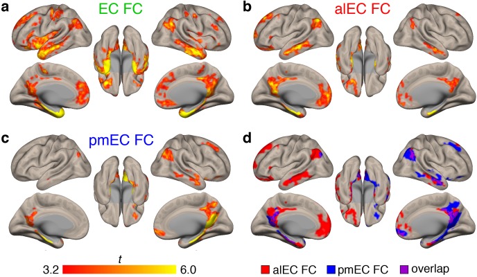 Figure 1—figure supplement 1.