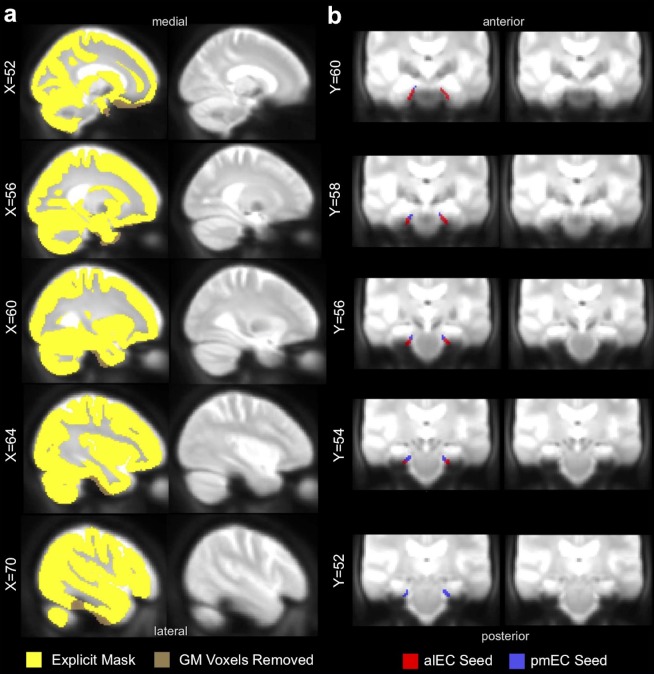 Figure 1—figure supplement 2.