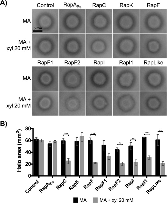 FIG 6