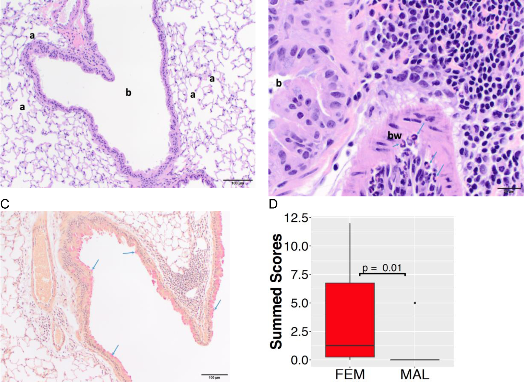 Figure 6.