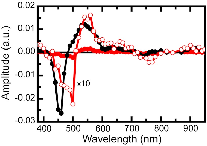 Fig. 5.