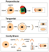 FIG 1