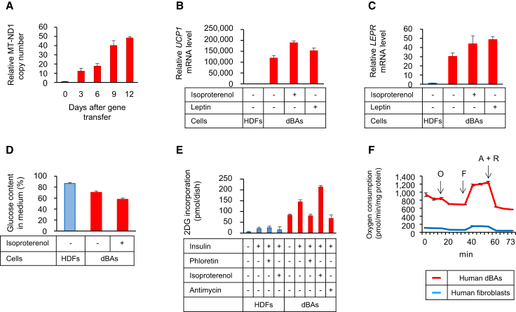 Figure 5