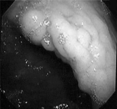 Fig. 64.1
