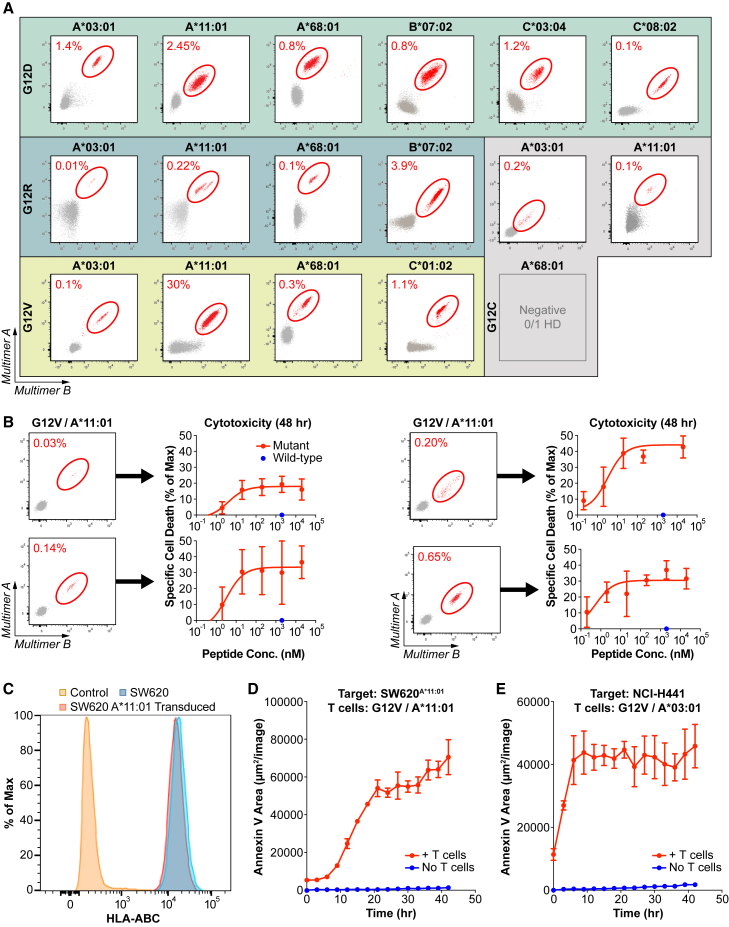 Figure 3