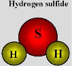 graphic file with name molecules-20-09099-i002.jpg