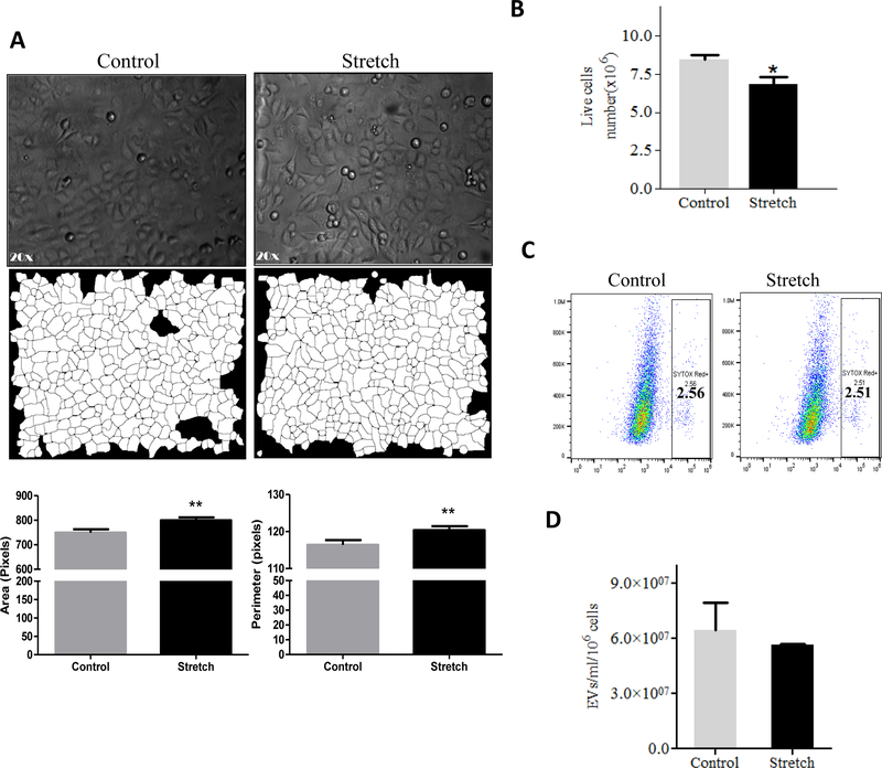 Figure 3: