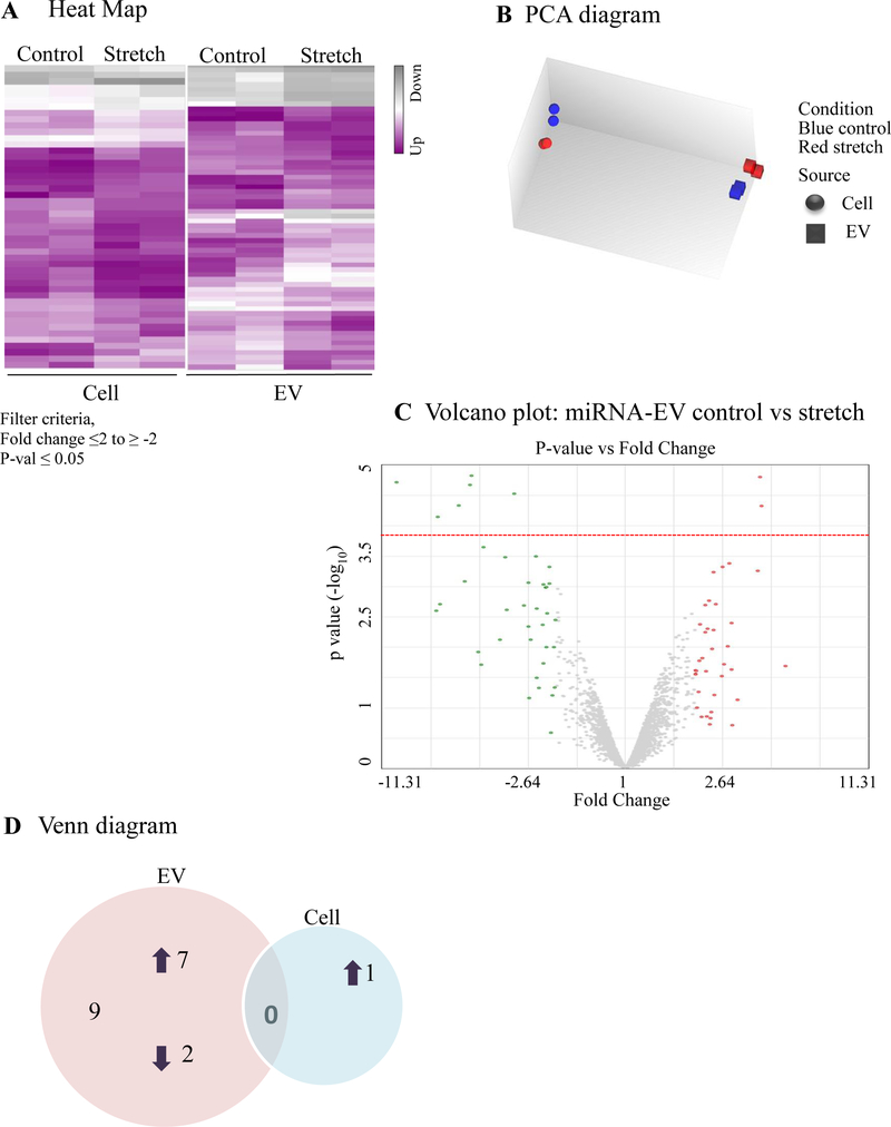 Figure 5: