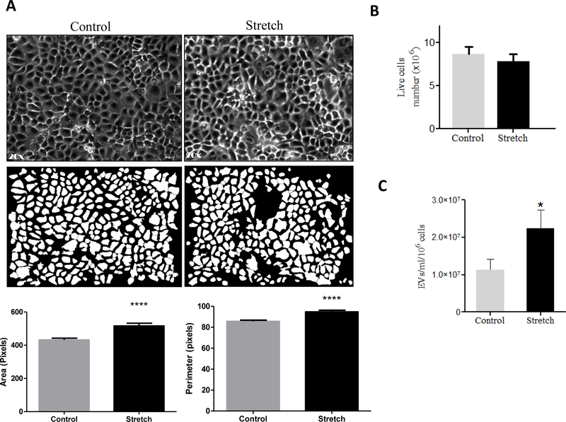 Figure 2: