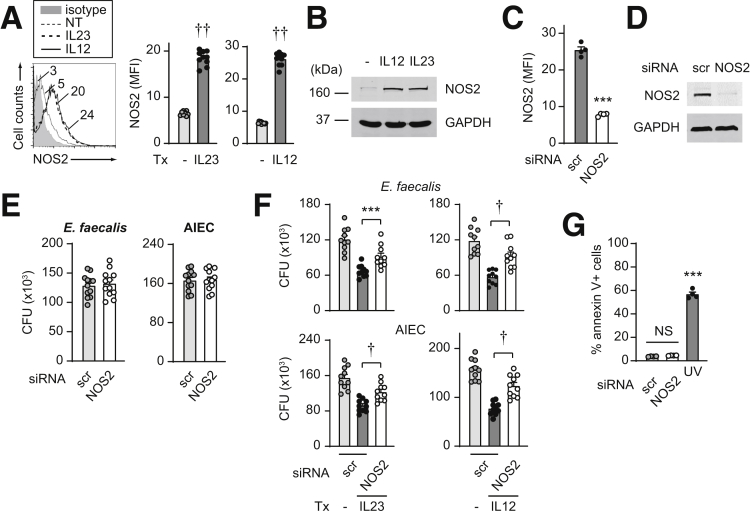 Figure 6