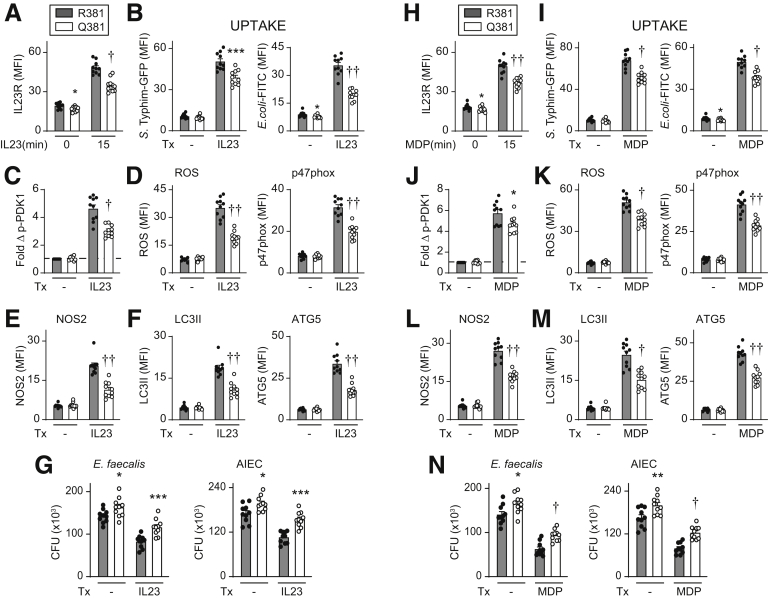 Figure 18