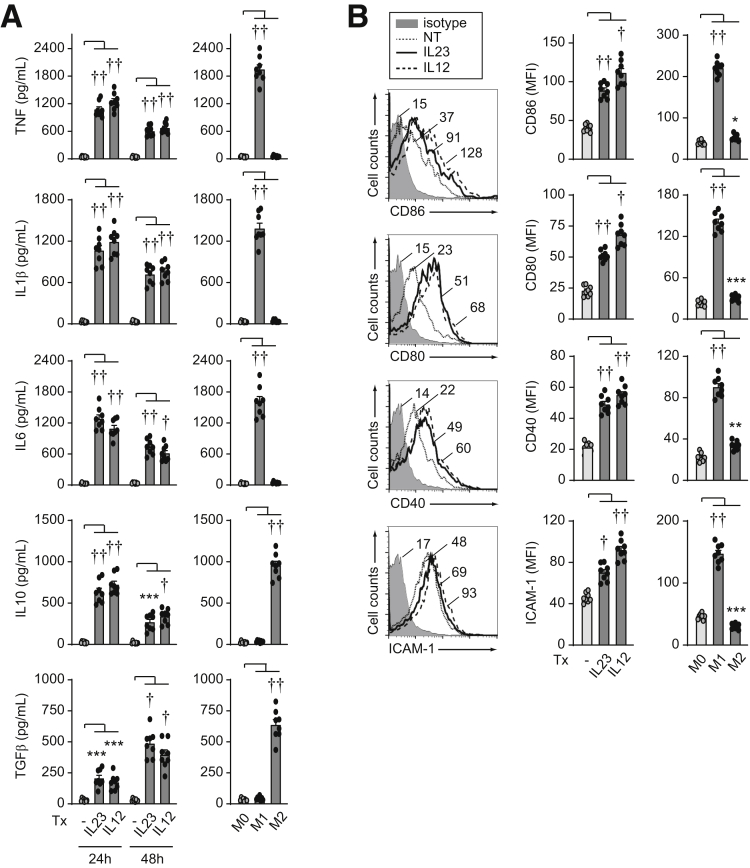 Figure 11