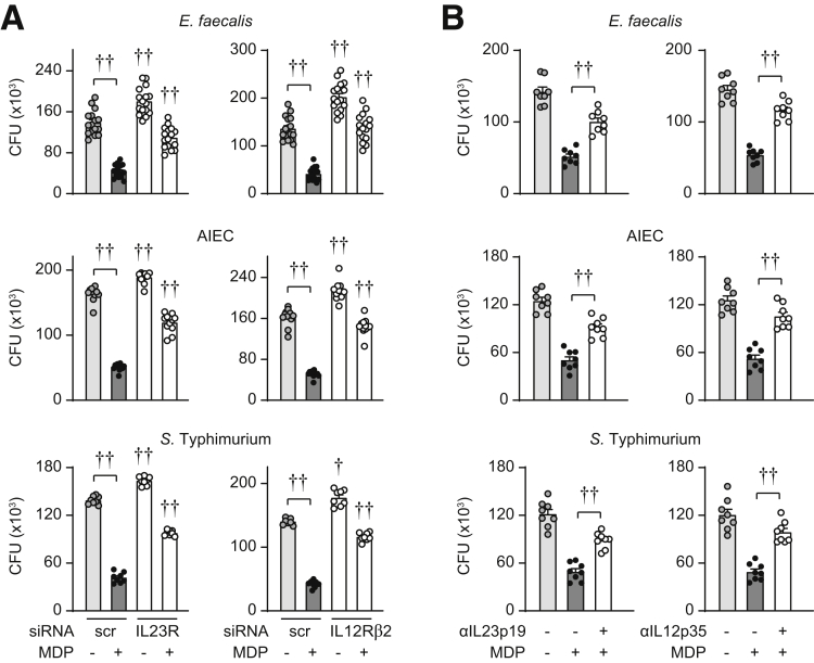 Figure 13