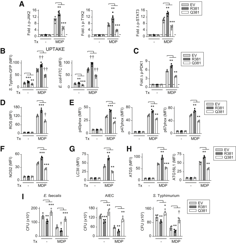 Figure 17