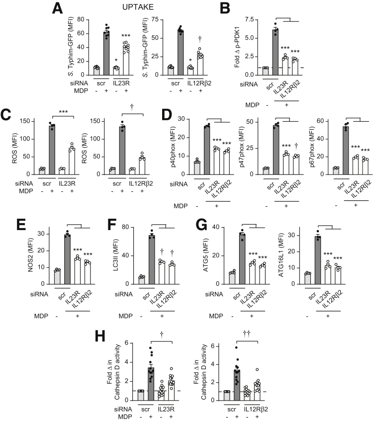 Figure 14