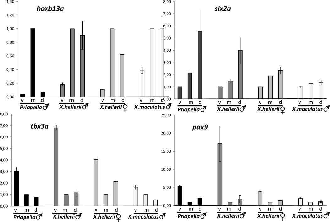 Figure 3: