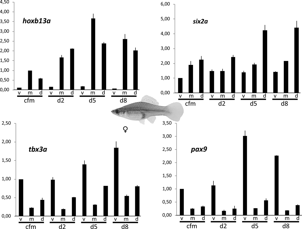 Figure 4: