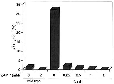 FIG. 6