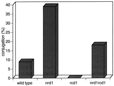 FIG. 8