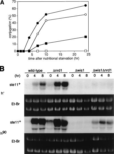 FIG. 7