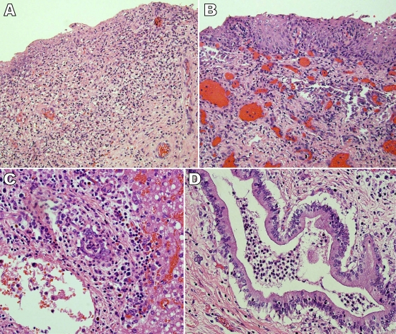 FIG. 2.