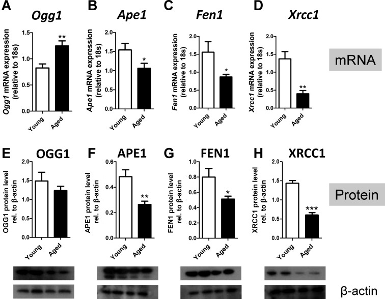 FIG. 6.