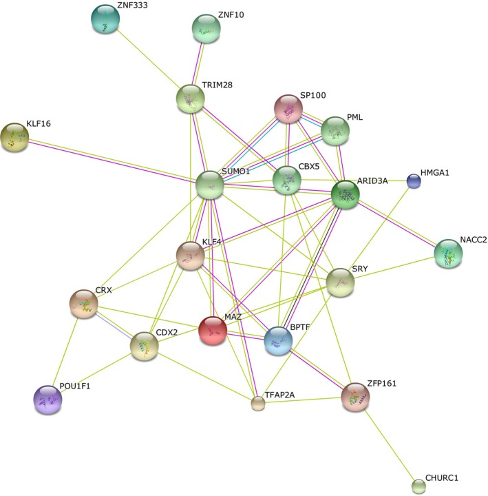 Figure 2