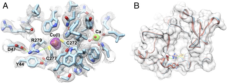 Fig. 5.