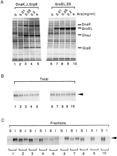 FIG. 6