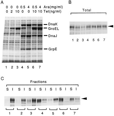 FIG. 7