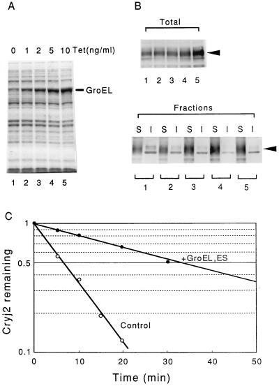 FIG. 5