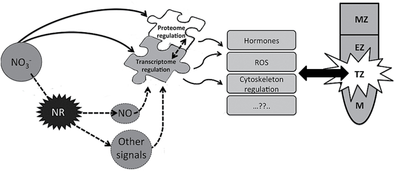 Fig. 10.