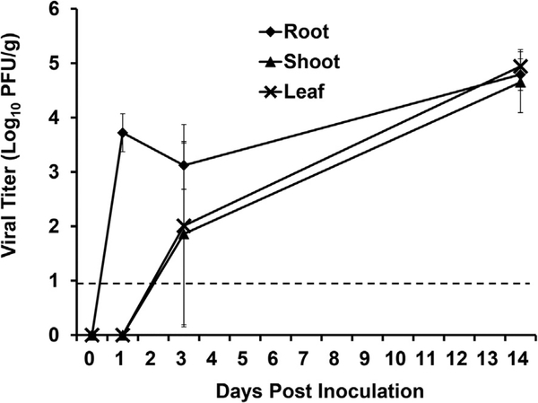 Fig. 5.