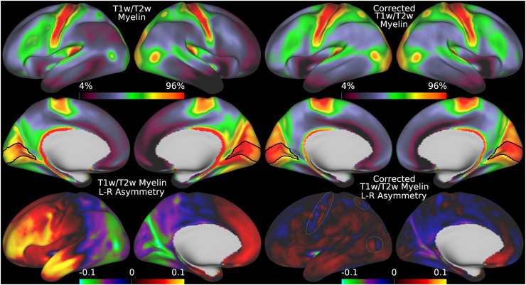 Fig 6