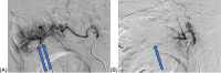 Fig. 2: