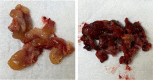 Fig. 3: