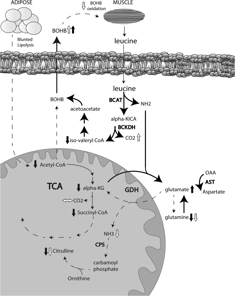 FIG. 6.