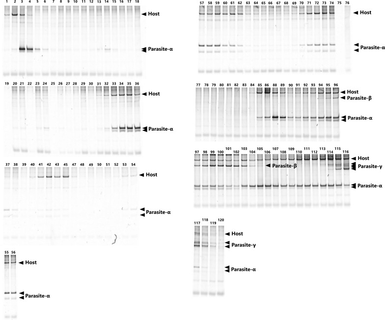 Figure 2—figure supplement 1.