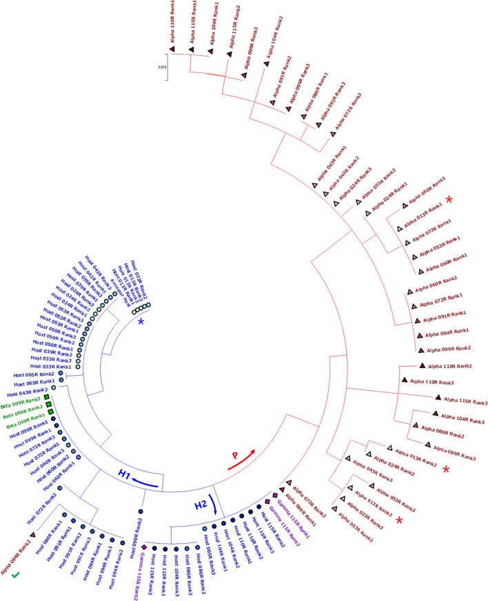 Figure 2—figure supplement 4.