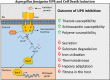 Image, graphical abstract