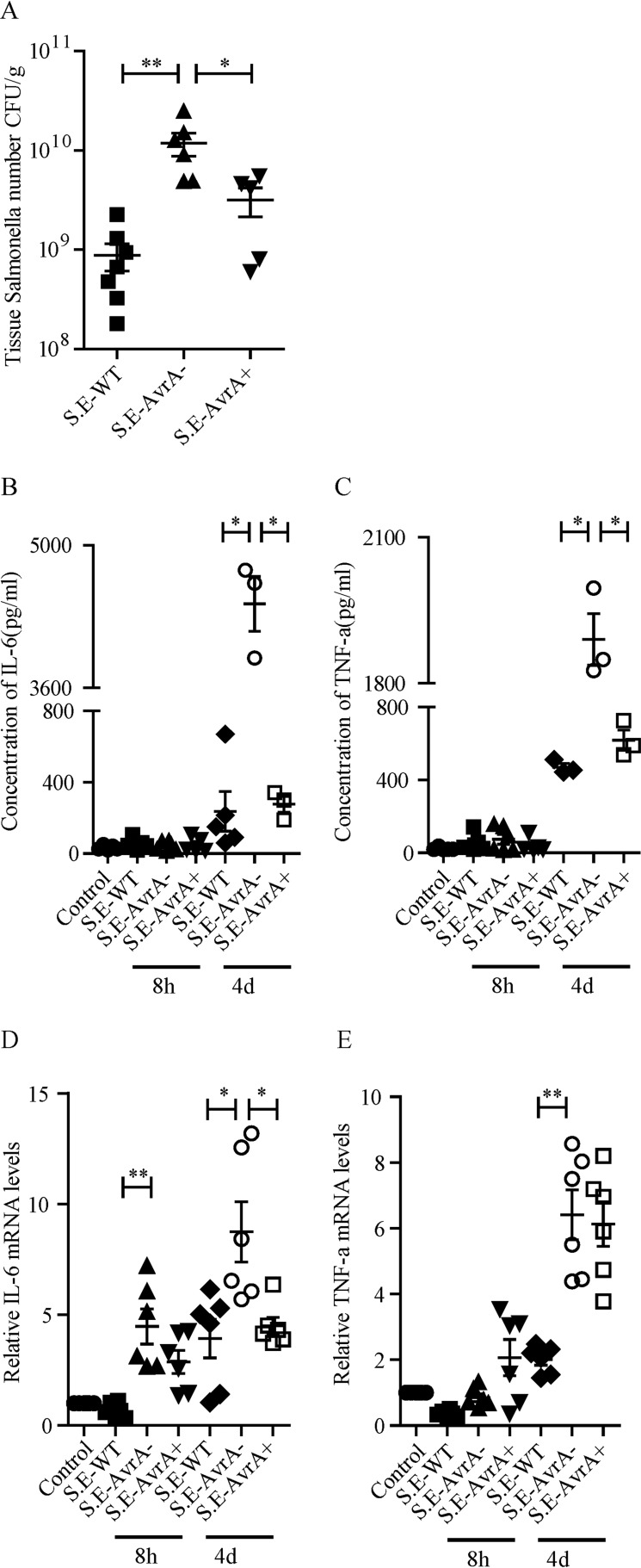 FIGURE 7.